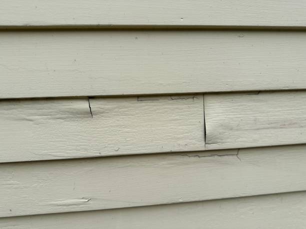 Best Historical Building Siding Restoration  in Woodsville, NH